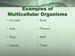 Unicellular and mulitcellular