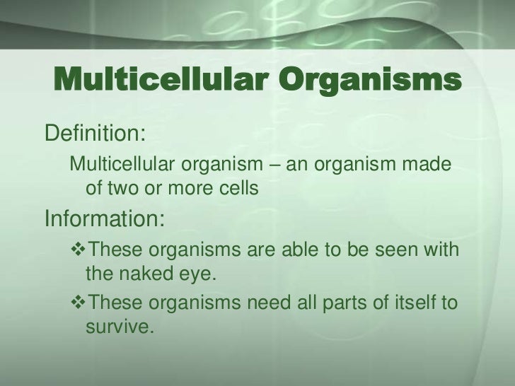 Unicellular and mulitcellular