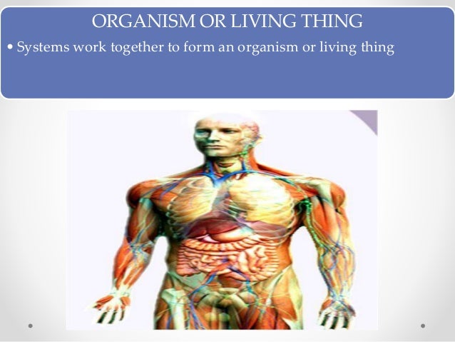 Unicellular and multicellular