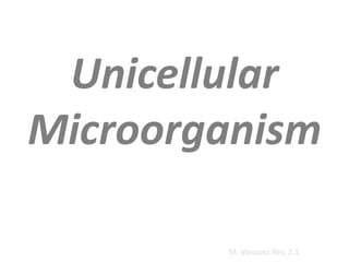 Unicellular
Microorganism
M. Vasquez Rev. 2.1
 