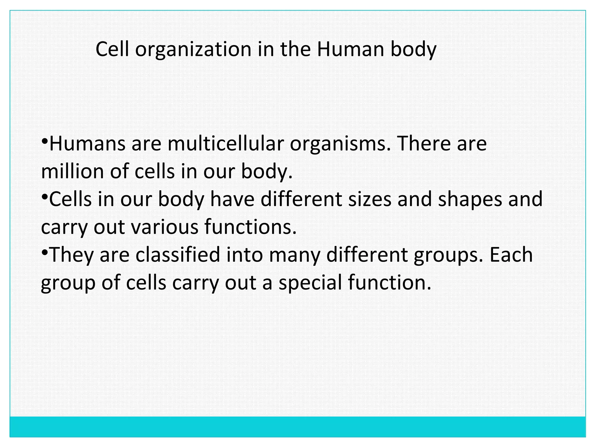 Cell organization in the Human body
•Humans are multicellular organisms. There are
million of cells in our body.
•Cells in our body have different sizes and shapes and
carry out various functions.
•They are classified into many different groups. Each
group of cells carry out a special function.
 