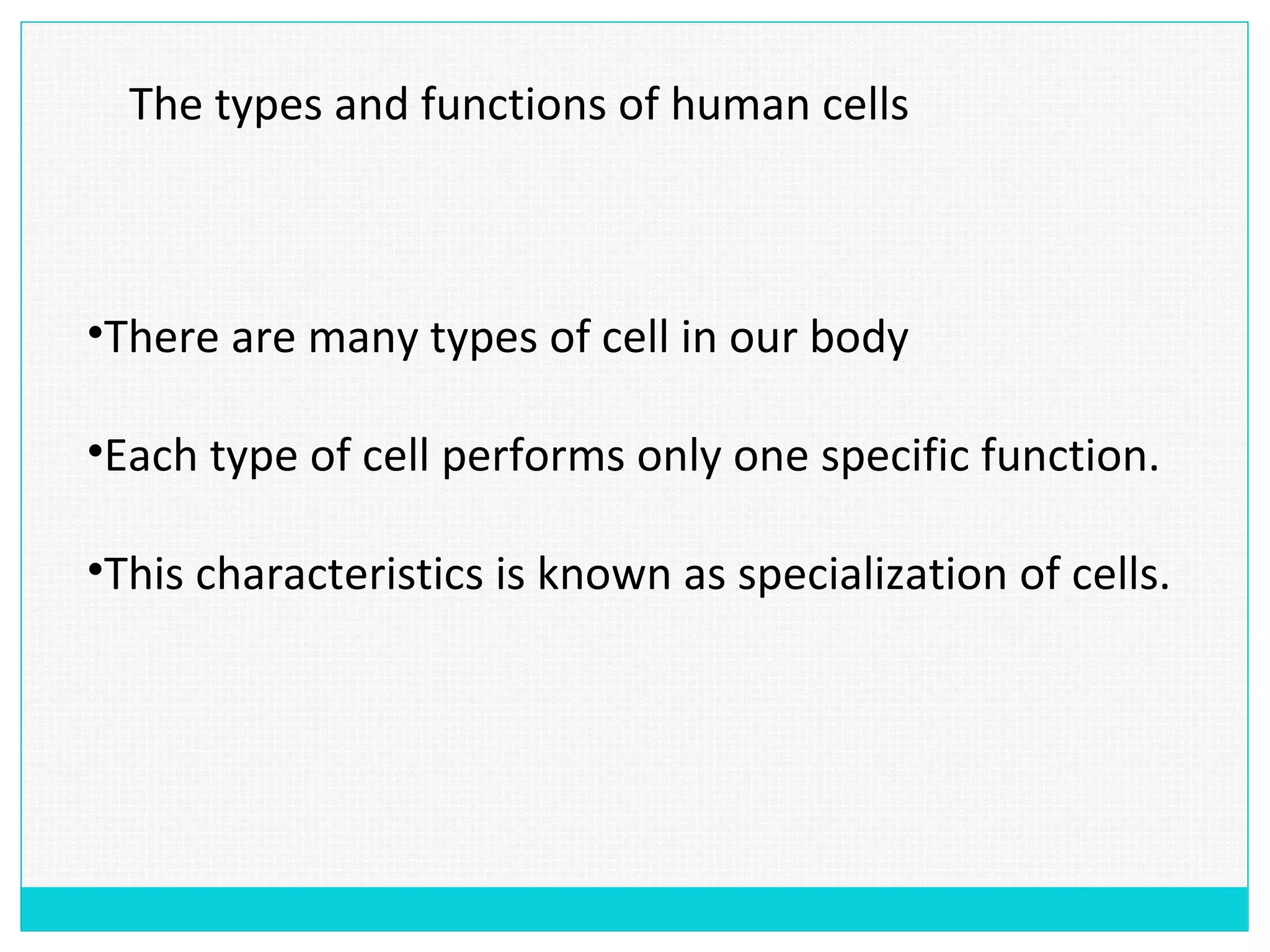 The types and functions of human cells
•There are many types of cell in our body
•Each type of cell performs only one specific function.
•This characteristics is known as specialization of cells.
 