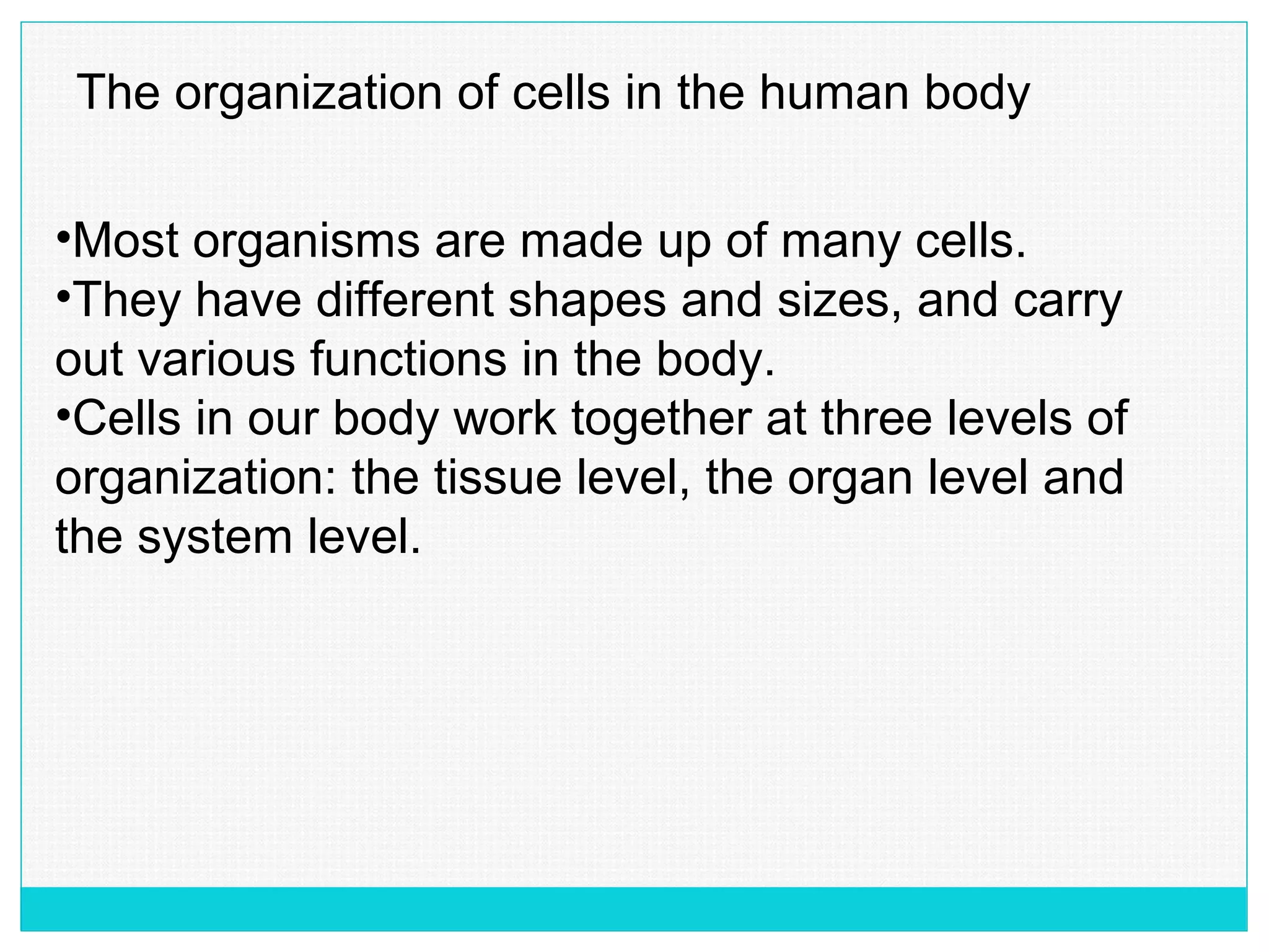 The organization of cells in the human body
•Most organisms are made up of many cells.
•They have different shapes and sizes, and carry
out various functions in the body.
•Cells in our body work together at three levels of
organization: the tissue level, the organ level and
the system level.
 