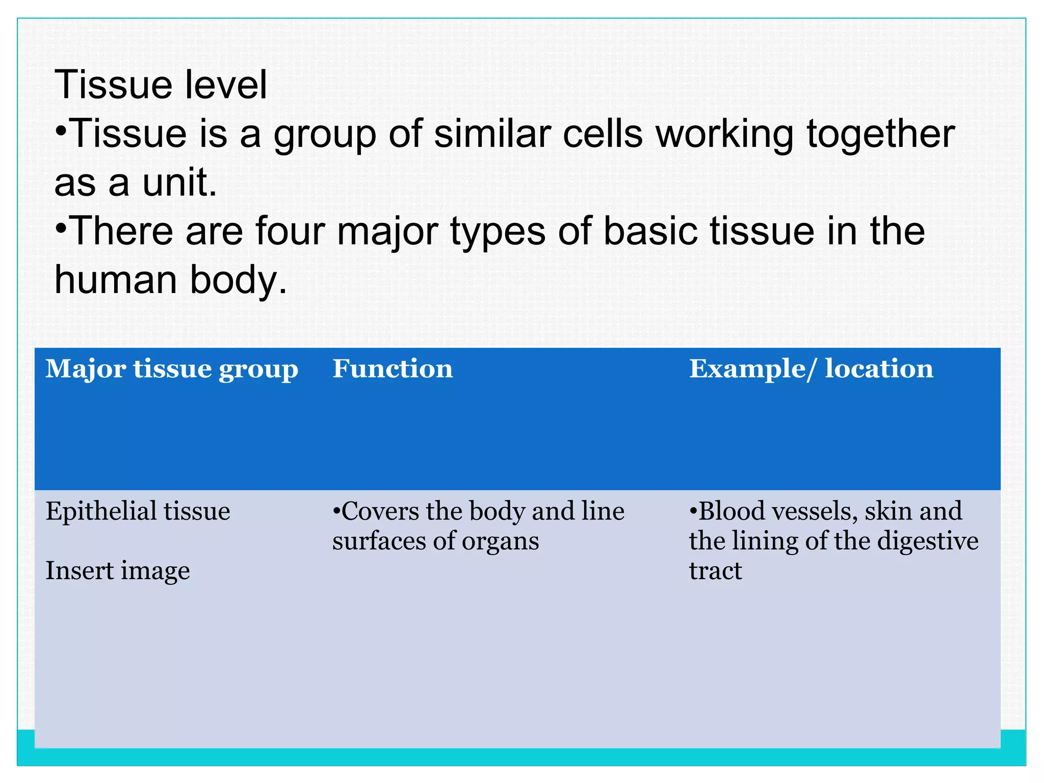 Tissue level
•Tissue is a group of similar cells working together
as a unit.
•There are four major types of basic tissue in the
human body.
Major tissue group Function Example/ location
Epithelial tissue
Insert image
•Covers the body and line
surfaces of organs
•Blood vessels, skin and
the lining of the digestive
tract
 