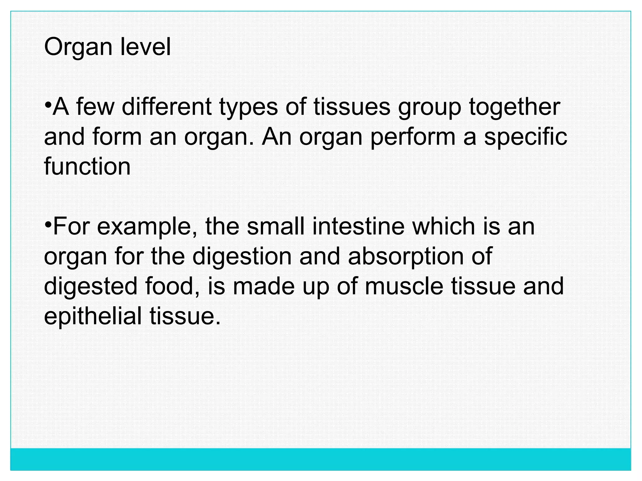 Organ level
•A few different types of tissues group together
and form an organ. An organ perform a specific
function
•For example, the small intestine which is an
organ for the digestion and absorption of
digested food, is made up of muscle tissue and
epithelial tissue.
 