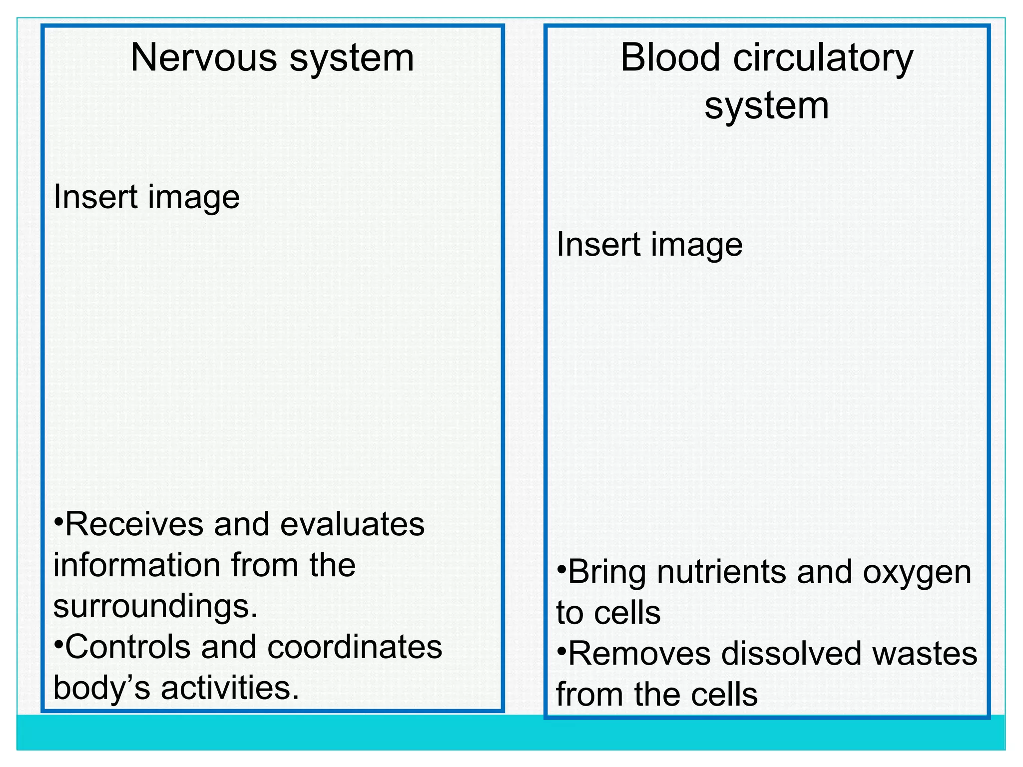 Nervous system
Insert image
•Receives and evaluates
information from the
surroundings.
•Controls and coordinates
body’s activities.
Blood circulatory
system
Insert image
•Bring nutrients and oxygen
to cells
•Removes dissolved wastes
from the cells
 