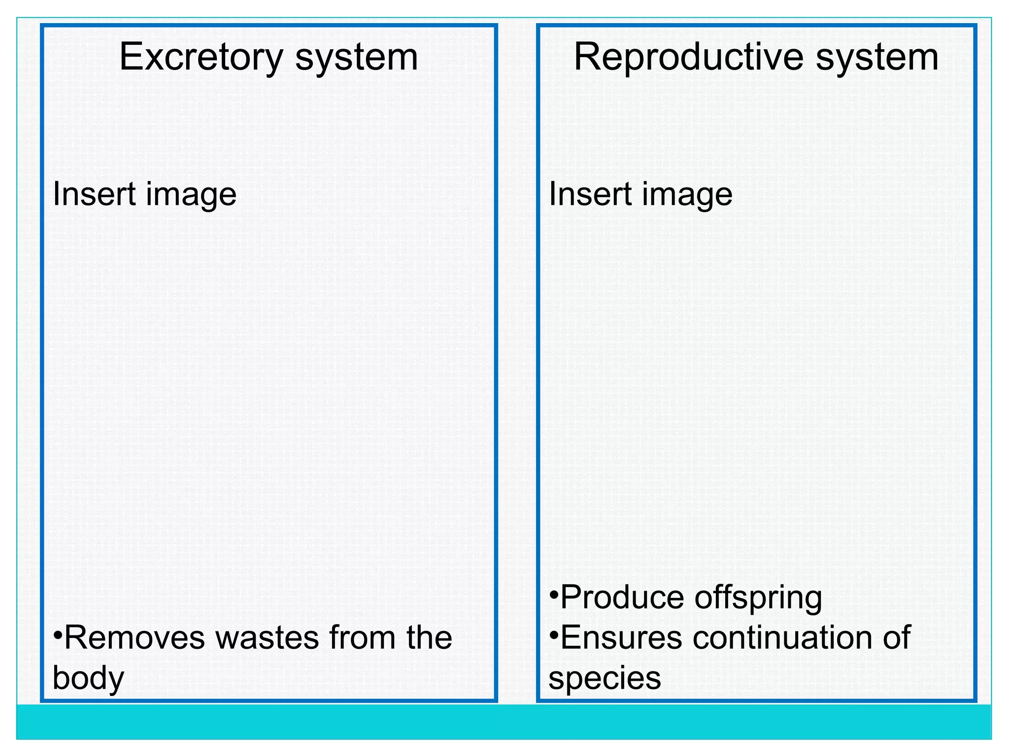 Reproductive system
Insert image
•Produce offspring
•Ensures continuation of
species
Excretory system
Insert image
•Removes wastes from the
body
 