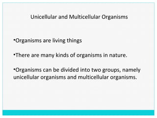Unicellular and Multicellular Organisms
•Organisms are living things
•There are many kinds of organisms in nature.
•Organisms can be divided into two groups, namely
unicellular organisms and multicellular organisms.
 