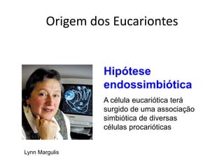 Origem dos Eucariontes


                 Hipótese
                 endossimbiótica
                 A célula eucariótica terá
                 surgido de uma associação
                 simbiótica de diversas
                 células procarióticas


Lynn Margulis
 