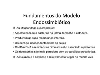 Fundamentos do Modelo
           Endossimbiótico
► As Mitocôndrias e cloroplastos:
• Assemelham-se a bactérias na forma, tamanho e estrutura.
• Produzem as suas membranas internas.
• Dividem-se independentemente da célula
• Contêm DNA em moléculas circulares não associado a proteínas
• Os ribossomas são mais parecidos com os da célula procariótica.
► Actualmente a simbiose é relativamente vulgar no mundo vivo
 