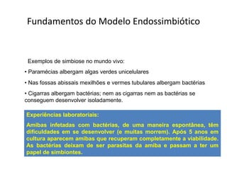 Fundamentos do Modelo Endossimbiótico


 Exemplos de simbiose no mundo vivo:
• Paramécias albergam algas verdes unicelulares
• Nas fossas abissais mexilhões e vermes tubulares albergam bactérias
• Cigarras albergam bactérias; nem as cigarras nem as bactérias se
conseguem desenvolver isoladamente.

Experiências laboratoriais:
Amibas infetadas com bactérias, de uma maneira espontânea, têm
dificuldades em se desenvolver (e muitas morrem). Após 5 anos em
cultura aparecem amibas que recuperam completamente a viabilidade.
As bactérias deixam de ser parasitas da amiba e passam a ter um
papel de simbiontes.
 