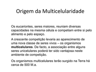 Origem da Multicelularidade

Os eucariontes, seres maiores, reuniam diversas
capacidades na mesma célula e competiam entre si pelo
alimento e pelo espaço.
A crescente competição levaria ao aparecimento de
uma nova classe de seres vivos – os organismos
multicelulares. De facto, a associação entre alguns
seres unicelulares poderá ter sido vantajosa neste
ambiente de competição.
Os organismos multicelulares terão surgido na Terra há
cerca de 500 M.a.
 