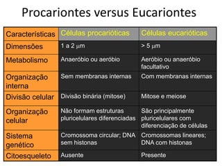 Procariontes versus Eucariontes
Características Células procarióticas         Células eucarióticas
Dimensões        1 a 2 m                     > 5 m

Metabolismo      Anaeróbio ou aeróbio         Aeróbio ou anaeróbio
                                              facultativo
Organização     Sem membranas internas        Com membranas internas
interna
Divisão celular Divisão binária (mitose)      Mitose e meiose

Organização      Não formam estruturas        São principalmente
celular          pluricelulares diferenciadas pluricelulares com
                                              diferenciação de células
Sistema          Cromossoma circular; DNA Cromossomas lineares;
genético         sem histonas             DNA com histonas

Citoesqueleto    Ausente                      Presente
 