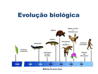 Evolução biológica
 