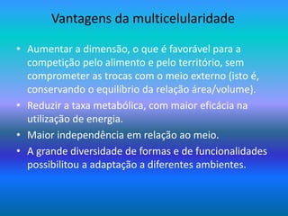 Vantagens da multicelularidade
• Aumentar a dimensão, o que é favorável para a
competição pelo alimento e pelo território, sem
comprometer as trocas com o meio externo (isto é,
conservando o equilíbrio da relação área/volume).
• Reduzir a taxa metabólica, com maior eficácia na
utilização de energia.
• Maior independência em relação ao meio.
• A grande diversidade de formas e de funcionalidades
possibilitou a adaptação a diferentes ambientes.
 