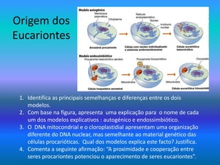 Origem dos
Eucariontes
1. Identifica as principais semelhanças e diferenças entre os dois
modelos.
2. Com base na figura, apresenta uma explicação para o nome de cada
um dos modelos explicativos : autogénico e endossimbiótico.
3. O DNA mitocondrial e o cloroplastidial apresentam uma organização
diferente do DNA nuclear, mas semelhante ao material genético das
células procarióticas. Qual dos modelos explica este facto? Justifica.
4. Comenta a seguinte afirmação: “A proximidade e cooperação entre
seres procariontes potenciou o aparecimento de seres eucariontes”.
 