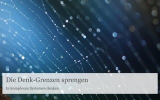 Die Denk-Grenzen sprengen
In komplexen Systemen denken
 