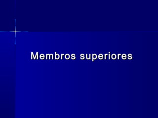 Membros superioresMembros superiores
 