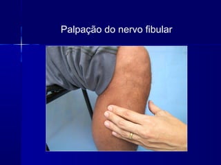 Palpação do nervo fibular
 
