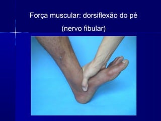 Força muscular: dorsiflexão do pé
(nervo fibular)
 