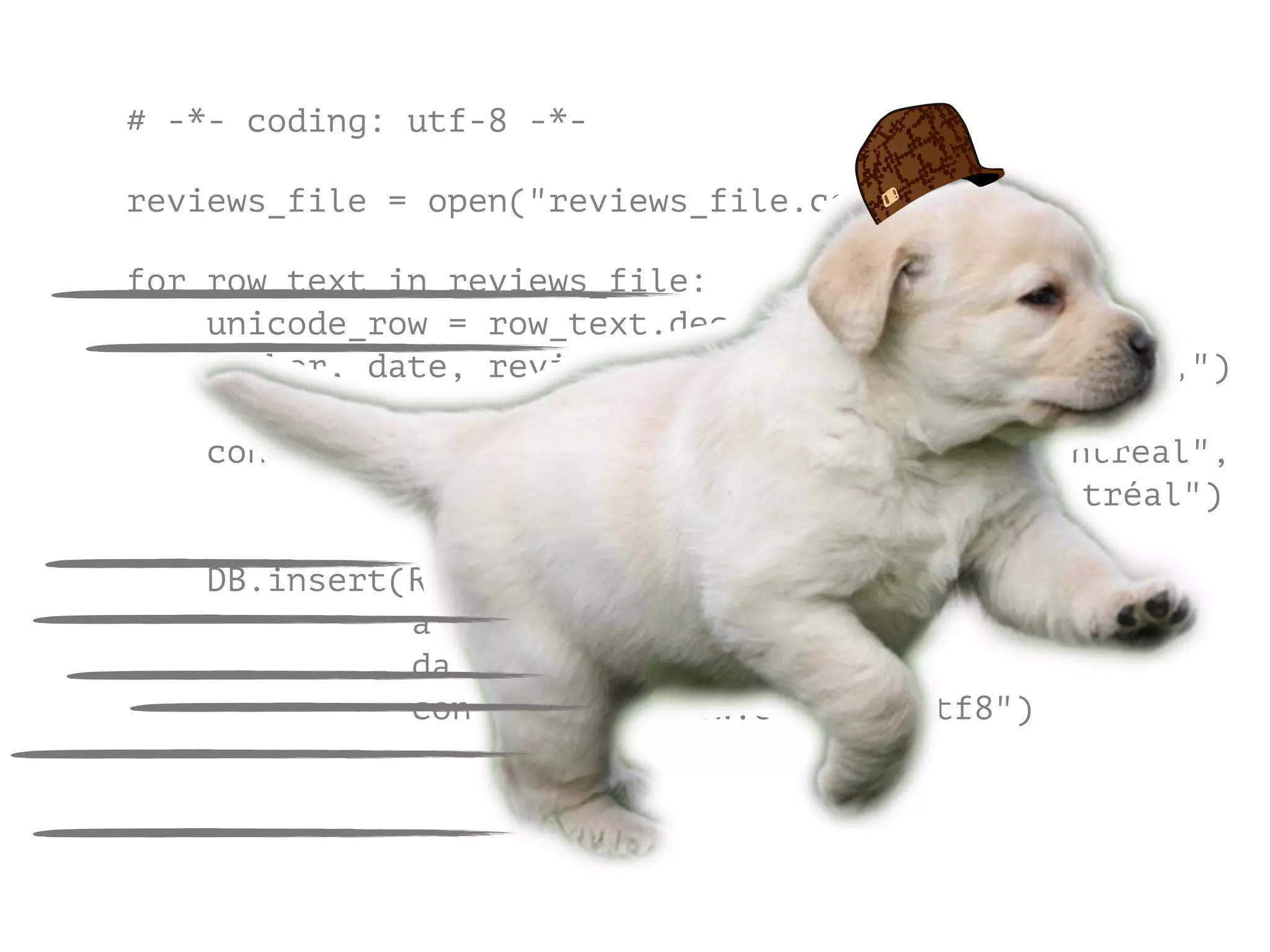 # -*- coding: utf-8 -*-
!
reviews_file = open("reviews_file.csv")
!
for row_text in reviews_file:
unicode_row = row_text.decode("cp1252")
author, date, review_text = unicode_row.split(u",")
converted_review = review_text.replace(u"Montreal",
u"Montréal")
DB.insert(ReviewTable
author.encode("utf8"
date.encode("utf8"),
converted_review.encode("utf8")
 