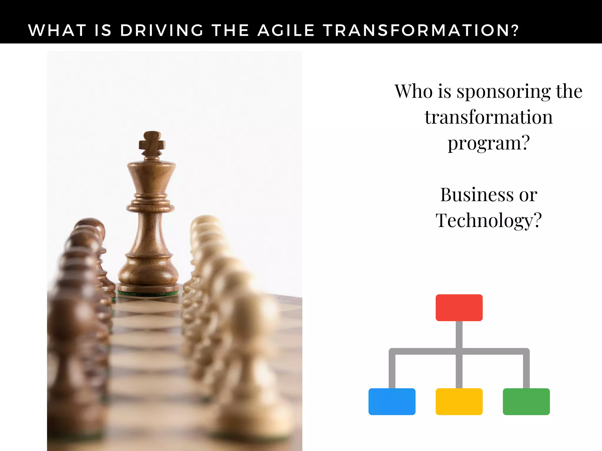 WHAT IS DRIVING THE AGILE TRANSFORMATION?
Who is sponsoring the
transformation
program?
Business or
Technology?
 