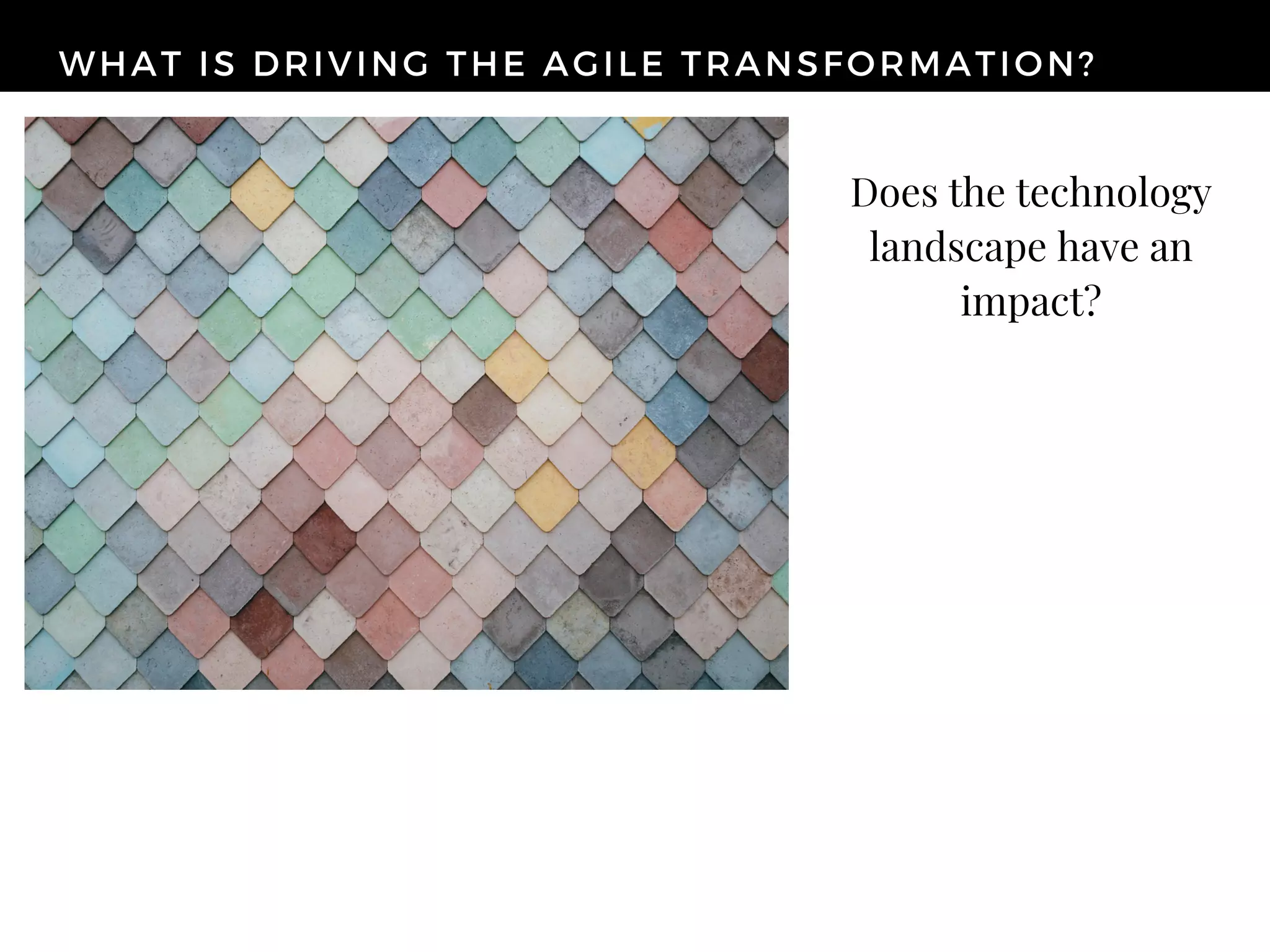 WHAT IS DRIVING THE AGILE TRANSFORMATION?
Does the technology
landscape have an
impact?
 