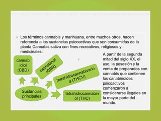 » Los términos cannabis y marihuana, entre muchos otros, hacen
   referencia a las sustancias psicoactivas que son consumidas de la
   planta Cannabis sativa con fines recreativos, religiosos y
   medicinales.
                                                  A partir de la segunda
cannab                              »             mitad del siglo XX, el
  idiol                                           uso, la posesión y la
 (CBD)                                            venta de preparados con
                                                  cannabis que contienen
                                                  los canabinoides
                                                  psicoactivos
                                                  comenzaron a
    Sustancias
                             tetrahidrocannabin considerarse ilegales en
    principales                                   la mayor parte del
                                  ol (THC)
                                                  mundo.
 