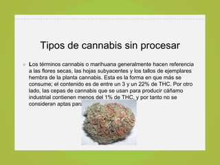 Tipos de cannabis sin procesar
» Los términos cannabis o marihuana generalmente hacen referencia
  a las flores secas, las hojas subyacentes y los tallos de ejemplares
  hembra de la planta cannabis. Esta es la forma en que más se
  consume; el contenido es de entre un 3 y un 22% de THC. Por otro
  lado, las cepas de cannabis que se usan para producir cáñamo
  industrial contienen menos del 1% de THC, y por tanto no se
  consideran aptas para uso recreativo.
 