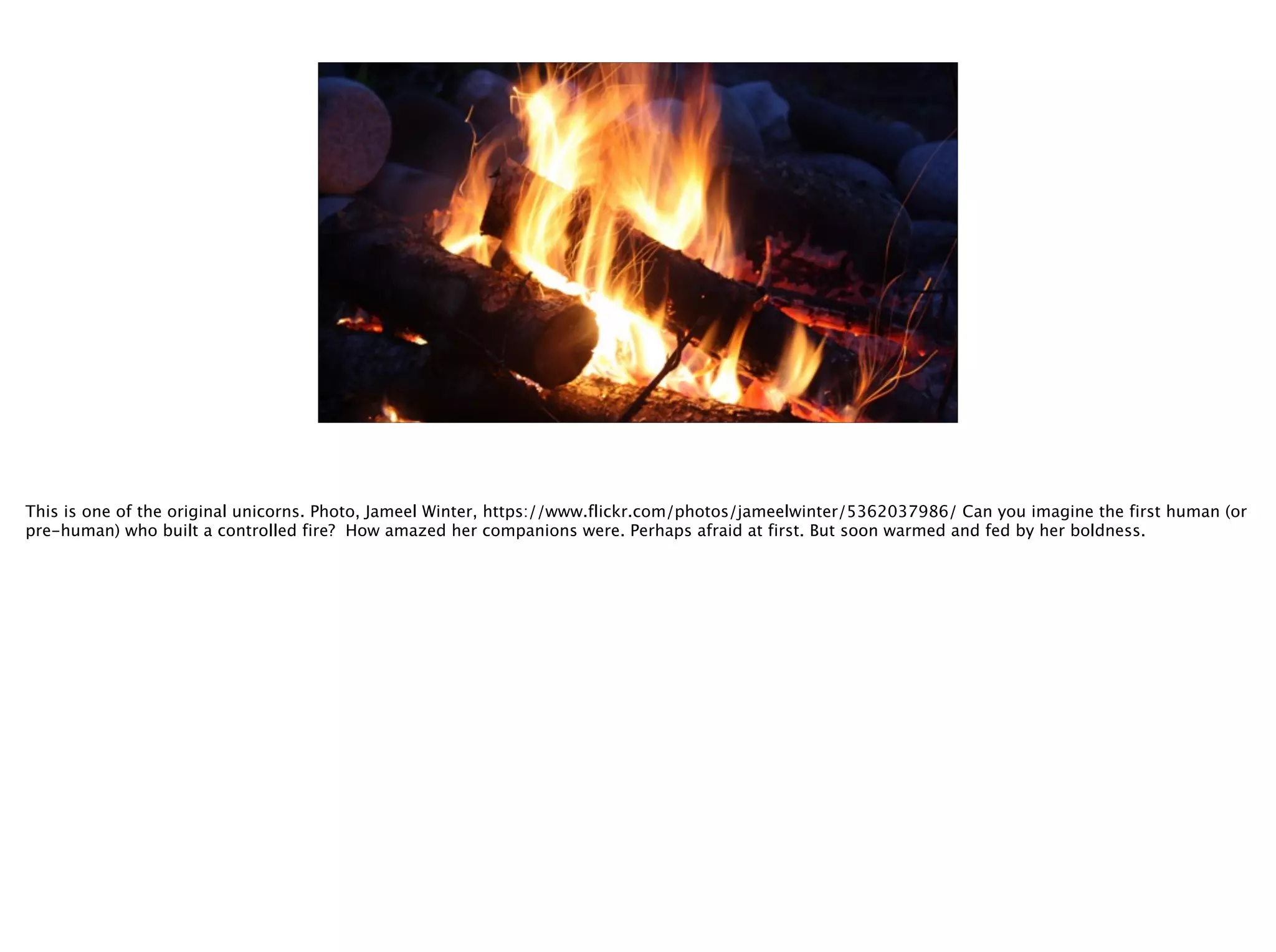 @timoreilly
This is one of the original unicorns. Photo, Jameel Winter, https://www.flickr.com/photos/jameelwinter/5362037986/ Can you imagine the first human (or
pre-human) who built a controlled fire? How amazed her companions were. Perhaps afraid at first. But soon warmed and fed by her boldness.
 