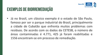 Exemplos de biorremediação
• Já no Brasil, um clássico exemplo é o estado de São Paulo,
famoso por ser o parque industrial do Brasil, principalmente
a cidade de Cubatão que enfrenta muitos problemas com
resíduos. De acordo com os dados da CETESB, o número de
áreas contaminadas é 4.771, 425 já foram reabilitadas e
1556 encontram-se em processo de remediação.
 