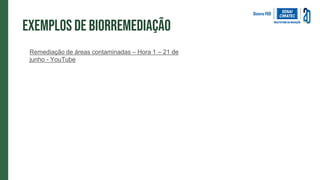 Exemplos de biorremediação
Remediação de áreas contaminadas – Hora 1 – 21 de
junho - YouTube
 