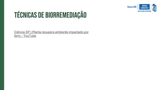 Técnicas de biorremediação
Ciência SP | Planta recupera ambiente impactado por
ferro - YouTube
 