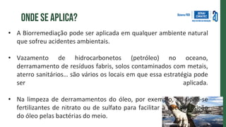 Onde se aplica?
• A Biorremediação pode ser aplicada em qualquer ambiente natural
que sofreu acidentes ambientais.
• Vazamento de hidrocarbonetos (petróleo) no oceano,
derramamento de resíduos fabris, solos contaminados com metais,
aterro sanitários… são vários os locais em que essa estratégia pode
ser aplicada.
• Na limpeza de derramamentos do óleo, por exemplo, adiciona-se
fertilizantes de nitrato ou de sulfato para facilitar a decomposição
do óleo pelas bactérias do meio.
 