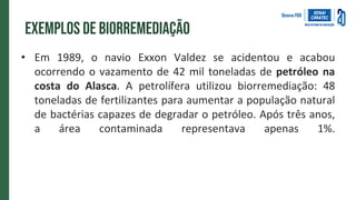 Exemplos de biorremediação
• Em 1989, o navio Exxon Valdez se acidentou e acabou
ocorrendo o vazamento de 42 mil toneladas de petróleo na
costa do Alasca. A petrolífera utilizou biorremediação: 48
toneladas de fertilizantes para aumentar a população natural
de bactérias capazes de degradar o petróleo. Após três anos,
a área contaminada representava apenas 1%.
 
