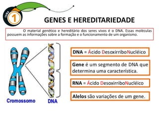 O material genético e hereditário dos seres vivos é o DNA. Essas moléculas
possuem as informações sobre a formação e o funcionamento de um organismo.
GENES E HEREDITARIEDADE
RNA = Ácido DesoxirriboNucléico
 