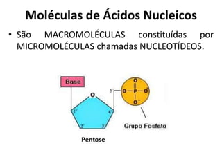Moléculas de Ácidos Nucleicos
• São MACROMOLÉCULAS constituídas por
MICROMOLÉCULAS chamadas NUCLEOTÍDEOS.
 
