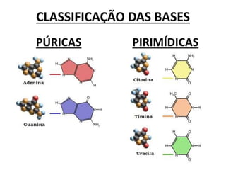 CLASSIFICAÇÃO DAS BASES
PÚRICAS PIRIMÍDICAS
 