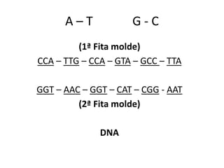 A – T G - C
(1ª Fita molde)
CCA – TTG – CCA – GTA – GCC – TTA
GGT – AAC – GGT – CAT – CGG - AAT
(2ª Fita molde)
DNA
 