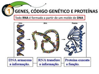 GENES, CÓDIGO GENÉTICO E PROTEÍNAS
Todo RNA é formado a partir de um molde de DNA
 