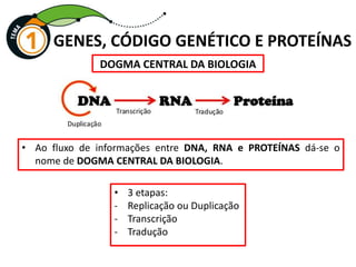 GENES, CÓDIGO GENÉTICO E PROTEÍNAS
• 3 etapas:
- Replicação ou Duplicação
- Transcrição
- Tradução
DOGMA CENTRAL DA BIOLOGIA
• Ao fluxo de informações entre DNA, RNA e PROTEÍNAS dá-se o
nome de DOGMA CENTRAL DA BIOLOGIA.
 