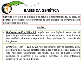 BASES DA GENÉTICA
- Hipócrates (460 – 377 a.C.) propôs que cada órgão do corpo do pai
produzia partículas que se reuniam no sêmen e eram transmitidas à
descendência durante a reprodução. Essa hipótese foi chamada de
Pangênese.
Genética é o ramo da Biologia que estuda a hereditariedade, ou seja, os
padrões pelos quais as características de uma espécie são transmitidas de
uma geração para outra
HISTÓRICO
- Aristóteles (384 – 322 a. C.) não concordava com Hipócrates, pois,
acreditava que muitas características adquiridas pelos pais durante a
vida não eram transmitidas aos filhos. Para ele, as bases estavam
contidas no esperma e no sangue menstrual e essa interação
desenvolvia um novo indivíduo.
 