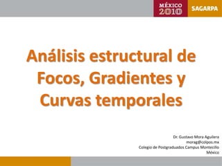 Análisis estructural de
 Focos, Gradientes y
 Curvas temporales
                                  Dr. Gustavo Mora Aguilera
                                         morag@colpos.mx
               Colegio de Postgraduados Campus Montecillo
                                                    México
 