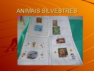 ANIMAIS SILVESTRES 
