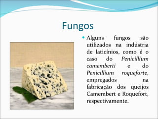 Fungos  Alguns fungos são utilizados na indústria de laticínios, como é o caso do  Penicillium camemberti  e do  Penicillium roqueforte , empregados na fabricação dos queijos Camembert e Roquefort, respectivamente. 