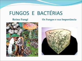 FUNGOS  E  BACTÉRIAS  Reino Fungi Os Fungos e sua Importância 