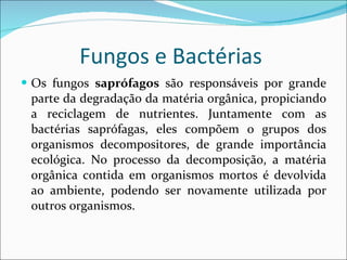 Fungos e Bactérias  Os fungos  saprófagos  são responsáveis por grande parte da degradação da matéria orgânica, propiciando a reciclagem de nutrientes. Juntamente com as bactérias saprófagas, eles compõem o grupos dos organismos decompositores, de grande importância ecológica. No processo da decomposição, a matéria orgânica contida em organismos mortos é devolvida ao ambiente, podendo ser novamente utilizada por outros organismos. 