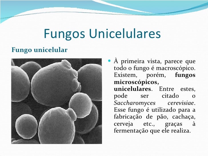 Livrar-se de um fungo de pé e unhas eficazes