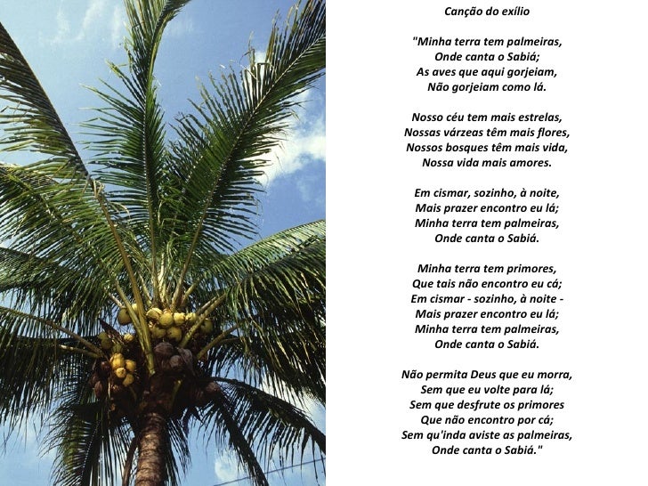 Minha Terra Tem Palmeiras Onde Canta O Sabiá Autor