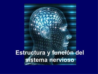 Estructura y función del
   sistema nervioso
 